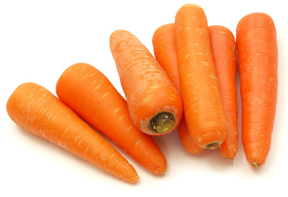 carrot